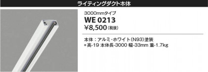 ���β��� Koizumi �������߾��� �饤�ƥ��󥰥����� WE0213