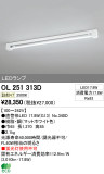 ODELIC ǥå LED١饤 OL251313DþʾLEDη¡ʰΡѤ䡡Ҹ -LIGHTING DEPOT-