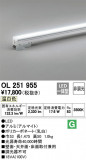 ODELIC ǥå Ѵܾ OL251955þʾLEDη¡ʰΡѤ䡡Ҹ -LIGHTING DEPOT-