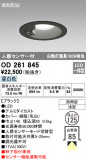ODELIC ǥå ƥꥢ饤 OD261845þʾLEDη¡ʰΡѤ䡡Ҹ -LIGHTING DEPOT-