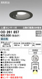 ODELIC ǥå ƥꥢ饤 OD261857þʾLEDη¡ʰΡѤ䡡Ҹ -LIGHTING DEPOT-