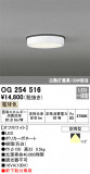 ODELIC ǥå ƥꥢ饤 OG254516þʾLEDη¡ʰΡѤ䡡Ҹ -LIGHTING DEPOT-