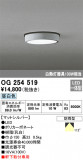 ODELIC ǥå ƥꥢ饤 OG254519þʾLEDη¡ʰΡѤ䡡Ҹ -LIGHTING DEPOT-