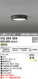 ODELIC ǥå ƥꥢ饤 OG254524þʾLEDη¡ʰΡѤ䡡Ҹ -LIGHTING DEPOT-