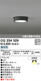 ODELIC ǥå ƥꥢ饤 OG254529þʾLEDη¡ʰΡѤ䡡Ҹ -LIGHTING DEPOT-
