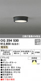 ODELIC ǥå ƥꥢ饤 OG254530þʾLEDη¡ʰΡѤ䡡Ҹ -LIGHTING DEPOT-