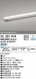 ODELIC ǥå Ѵܾ OL251916þʾLEDη¡ʰΡѤ䡡Ҹ -LIGHTING DEPOT-