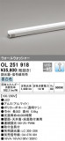 ODELIC ǥå Ѵܾ OL251918þʾLEDη¡ʰΡѤ䡡Ҹ -LIGHTING DEPOT-