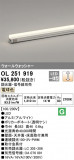 ODELIC ǥå Ѵܾ OL251919þʾLEDη¡ʰΡѤ䡡Ҹ -LIGHTING DEPOT-