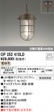 ODELIC ǥå ƥꥢ饤 OP252410LDþʾLEDη¡ʰΡѤ䡡Ҹ -LIGHTING DEPOT-