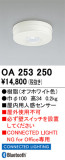 ODELIC ǥå  OA253250þʾLEDη¡ʰΡѤ䡡Ҹ -LIGHTING DEPOT-