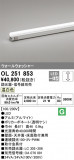 ODELIC ǥå Ѵܾ OL251853þʾLEDη¡ʰΡѤ䡡Ҹ -LIGHTING DEPOT-