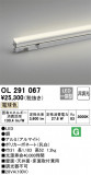 ODELIC ǥå Ѵܾ OL291067þʾLEDη¡ʰΡѤ䡡Ҹ -LIGHTING DEPOT-