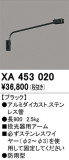 ODELIC ǥå ܹʡեѡ XA453020þʾLEDη¡ʰΡѤ䡡Ҹ -LIGHTING DEPOT-