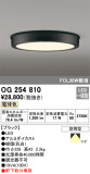 ODELIC ǥå ƥꥢ饤 OG254810þʾLEDη¡ʰΡѤ䡡Ҹ -LIGHTING DEPOT-
