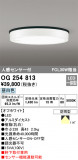 ODELIC ǥå ƥꥢ饤 OG254813þʾLEDη¡ʰΡѤ䡡Ҹ -LIGHTING DEPOT-