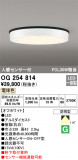 ODELIC ǥå ƥꥢ饤 OG254814þʾLEDη¡ʰΡѤ䡡Ҹ -LIGHTING DEPOT-