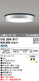 ODELIC ǥå ƥꥢ饤 OG254817þʾLEDη¡ʰΡѤ䡡Ҹ -LIGHTING DEPOT-
