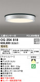 ODELIC ǥå ƥꥢ饤 OG254818þʾLEDη¡ʰΡѤ䡡Ҹ -LIGHTING DEPOT-