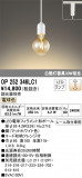 ODELIC ǥå ڥȥ饤 OP252346LC1þʾLEDη¡ʰΡѤ䡡Ҹ -LIGHTING DEPOT-