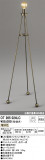 ODELIC ǥå  OT265024LCþʾLEDη¡ʰΡѤ䡡Ҹ -LIGHTING DEPOT-