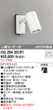 ODELIC ǥå ƥꥢ饤 OG254551P1þʾLEDη¡ʰΡѤ䡡Ҹ -LIGHTING DEPOT-