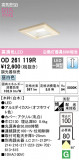 ODELIC ǥå 饤 OD261119RþʾLEDη¡ʰΡѤ䡡Ҹ -LIGHTING DEPOT-