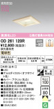 ODELIC ǥå 饤 OD261120RþʾLEDη¡ʰΡѤ䡡Ҹ -LIGHTING DEPOT-
