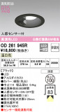 ODELIC ǥå 饤 OD261945RþʾLEDη¡ʰΡѤ䡡Ҹ -LIGHTING DEPOT-