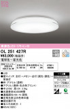 ODELIC ǥå 󥰥饤 OL251427RþʾLEDη¡ʰΡѤ䡡Ҹ -LIGHTING DEPOT-
