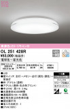 ODELIC ǥå 󥰥饤 OL251428RþʾLEDη¡ʰΡѤ䡡Ҹ -LIGHTING DEPOT-