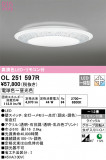 ODELIC ǥå 󥰥饤 OL251597RþʾLEDη¡ʰΡѤ䡡Ҹ -LIGHTING DEPOT-