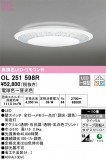 ODELIC ǥå 󥰥饤 OL251598RþʾLEDη¡ʰΡѤ䡡Ҹ -LIGHTING DEPOT-