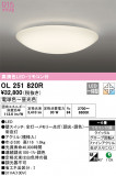 ODELIC ǥå 󥰥饤 OL251820RþʾLEDη¡ʰΡѤ䡡Ҹ -LIGHTING DEPOT-