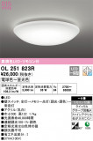 ODELIC ǥå 󥰥饤 OL251823RþʾLEDη¡ʰΡѤ䡡Ҹ -LIGHTING DEPOT-