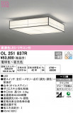 ODELIC ǥå 󥰥饤 OL251837RþʾLEDη¡ʰΡѤ䡡Ҹ -LIGHTING DEPOT-