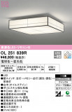 ODELIC ǥå 󥰥饤 OL251839RþʾLEDη¡ʰΡѤ䡡Ҹ -LIGHTING DEPOT-