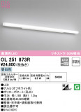 ODELIC ǥå ֥饱å OL251873RþʾLEDη¡ʰΡѤ䡡Ҹ -LIGHTING DEPOT-