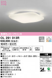 ODELIC ǥå 󥰥饤 OL291013RþʾLEDη¡ʰΡѤ䡡Ҹ -LIGHTING DEPOT-