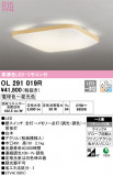 ODELIC ǥå 󥰥饤 OL291019RþʾLEDη¡ʰΡѤ䡡Ҹ -LIGHTING DEPOT-