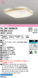 ODELIC ǥå 󥰥饤 OL291020BCRþʾLEDη¡ʰΡѤ䡡Ҹ -LIGHTING DEPOT-