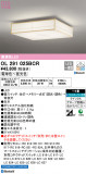 ODELIC ǥå 󥰥饤 OL291025BCRþʾLEDη¡ʰΡѤ䡡Ҹ -LIGHTING DEPOT-