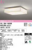 ODELIC ǥå 󥰥饤 OL291025RþʾLEDη¡ʰΡѤ䡡Ҹ -LIGHTING DEPOT-