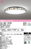 ODELIC ǥå 󥰥饤 OL291157RþʾLEDη¡ʰΡѤ䡡Ҹ -LIGHTING DEPOT-