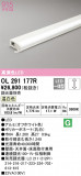 ODELIC ǥå Ѵܾ OL291177RþʾLEDη¡ʰΡѤ䡡Ҹ -LIGHTING DEPOT-