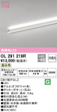 ODELIC ǥå Ѵܾ OL291219RþʾLEDη¡ʰΡѤ䡡Ҹ -LIGHTING DEPOT-