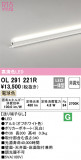 ODELIC ǥå Ѵܾ OL291221RþʾLEDη¡ʰΡѤ䡡Ҹ -LIGHTING DEPOT-