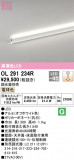 ODELIC ǥå Ѵܾ OL291234RþʾLEDη¡ʰΡѤ䡡Ҹ -LIGHTING DEPOT-