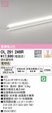 ODELIC ǥå Ѵܾ OL291249RþʾLEDη¡ʰΡѤ䡡Ҹ -LIGHTING DEPOT-