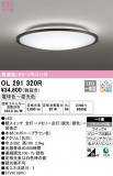ODELIC ǥå 󥰥饤 OL291320RþʾLEDη¡ʰΡѤ䡡Ҹ -LIGHTING DEPOT-